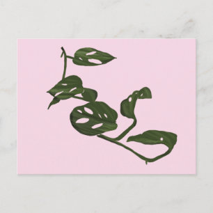 Postal Monstera Adanosii Ilustracion de planta de queso r