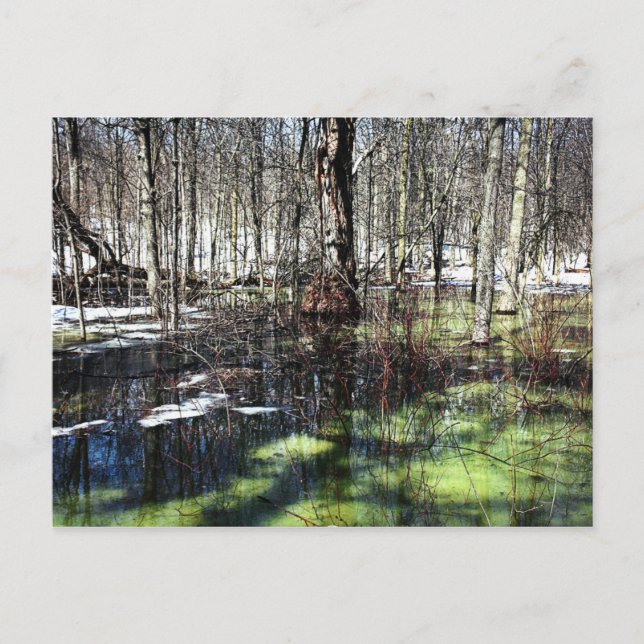 Postal Mont-Royal (Anverso)