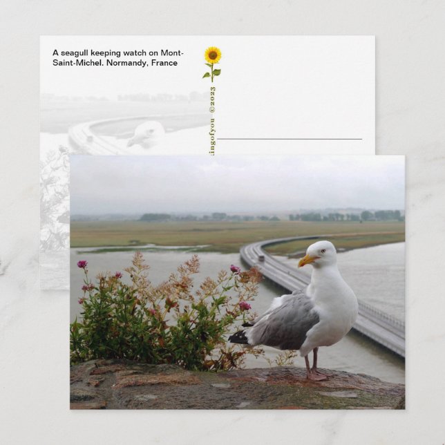 Postal Mont-Saint-Michel Lookout, Normandía, Francia - (Anverso / Reverso)