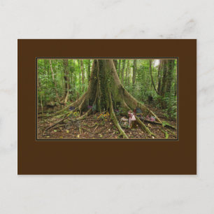 Postal Montage de TreeHouse