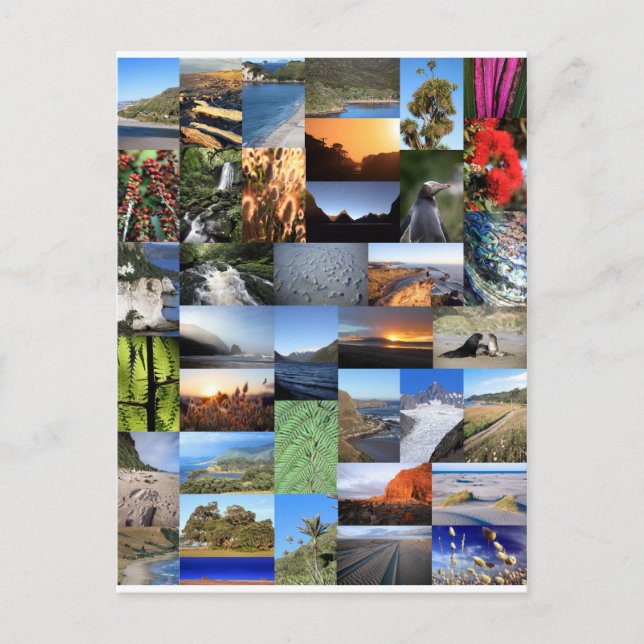 Postal Montaje panorámico sobre la naturaleza de Nueva Ze (Anverso)