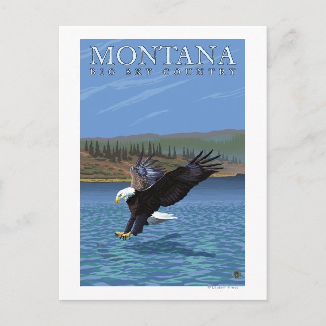 Postal Montana — Big Sky CountryDiving Eagle (Anverso)