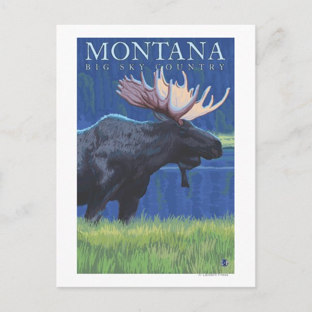 Postal Montana — Big Sky CountryMoose a la luz de la luna (Anverso)