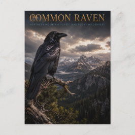 Postal Montaña Common Raven Wilderness ANIMALES