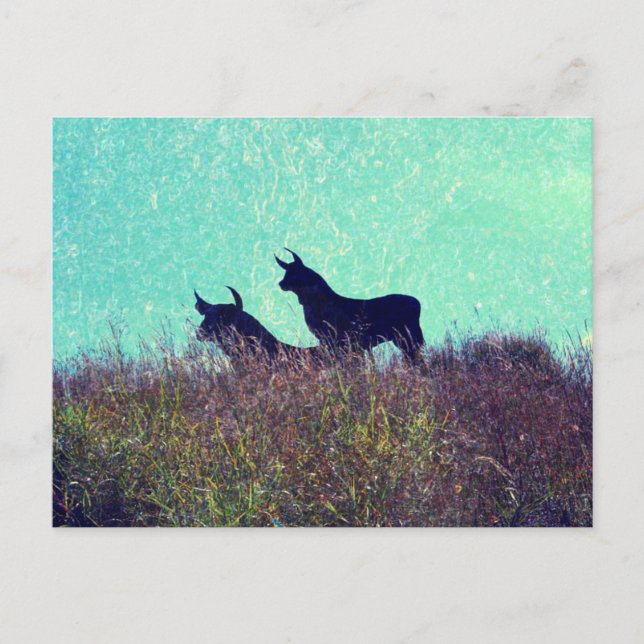 Postal Montaña de toros (Anverso)