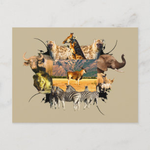 Postal Montaña del marco de vida silvestre africana Eland