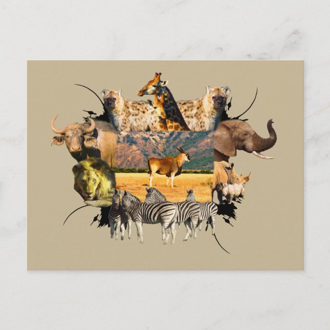 Postal Montaña del marco de vida silvestre africana Eland (Anverso)