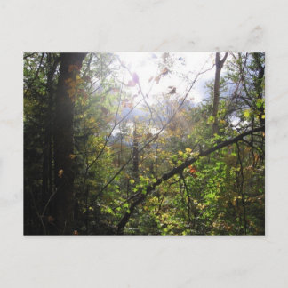 Postal montaña en cascada