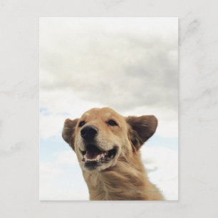 Postal Montana, Estados Unidos