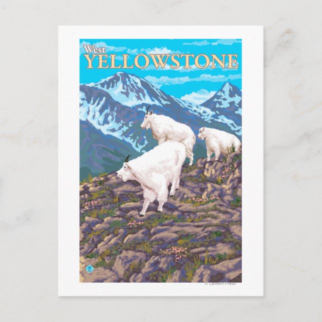 Postal Montaña Goats Scene - West Yellowstone, MT (Anverso)