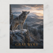 Montaña Gray Wolf Wilderness ANIMALES