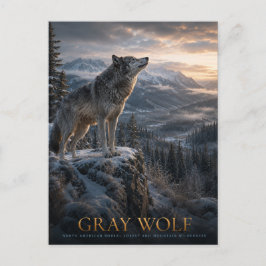 Postal Montaña Gray Wolf Wilderness ANIMALES