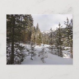 Postal Montaña nevada de invierno en Montana