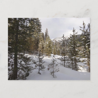Postal Montaña nevada de invierno en Montana