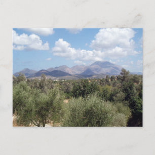 Postal Montaña Olive Grove Scenic