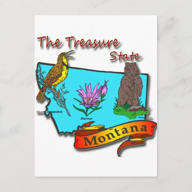 Postal Montana Treasure State Bear Larga Flor (Anverso)