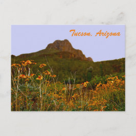 Postal Montaña Tucson y flores silvestres al atardecer