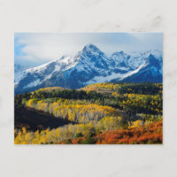 Montaña y árboles nevados