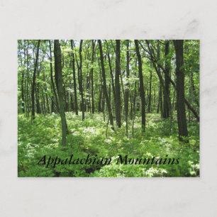 Postal Montañas Apalaches