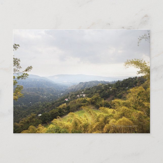 Postal Montañas azules sobre Kingston (Anverso)