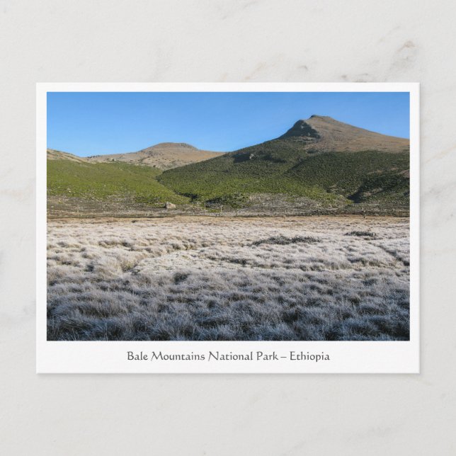 Postal Montañas Bale Etiopía (Anverso)