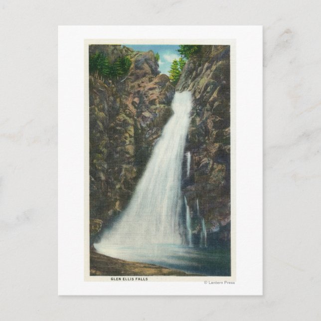 Postal Montañas Blancas Bosque Nat'l (Anverso)