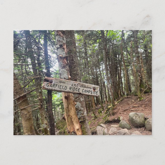 Postal Montañas Blancas Garfield Ridge Campsite Postcard (Anverso)