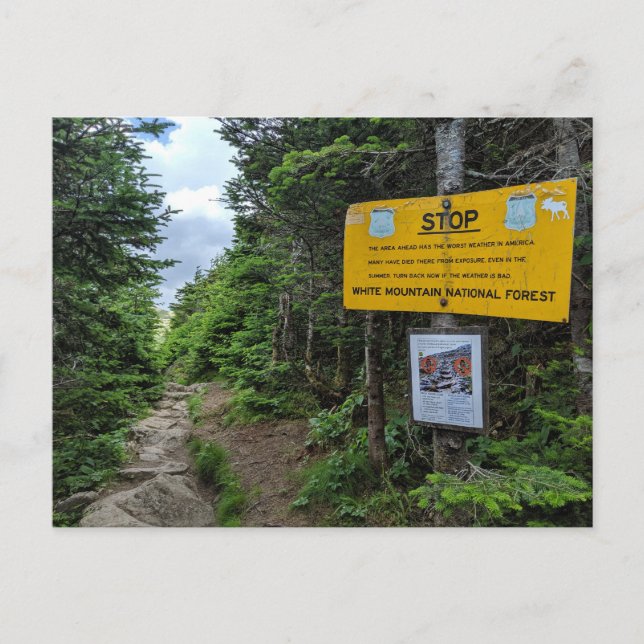 Postal Montañas Blancas Postcard de New Hampshire (Anverso)