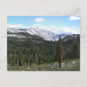 Postal Montañas de la Sierra Nevada II desde Yosemite