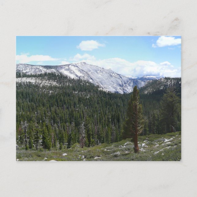 Postal Montañas de la Sierra Nevada II desde Yosemite (Anverso)