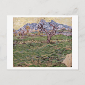 Postal Montañas de olivos paisajistas, Bella Artes Van Go