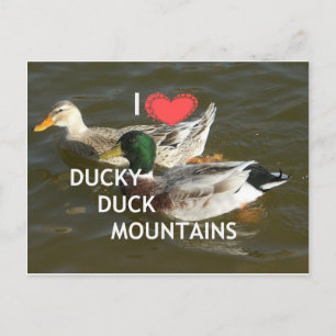 Postal Montañas de patos Ducky.