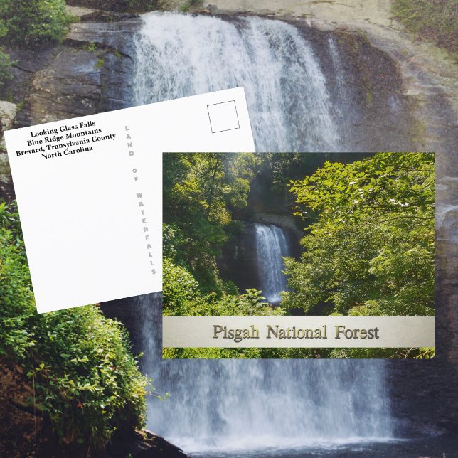 Postal Montañas de Pisgah National Forest Blue Ridge (Subido por el creador)