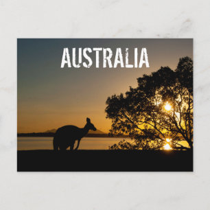 Postal Montañas de Queensland Australia Canguro Atardecer