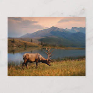 Postal Montañas Jacques Mountain Range Alberta Canadá