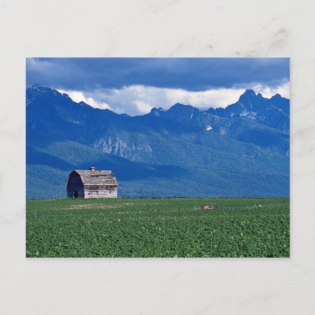 Postal Montañas Mission, Flathead Valley, Montana, Estado (Anverso)