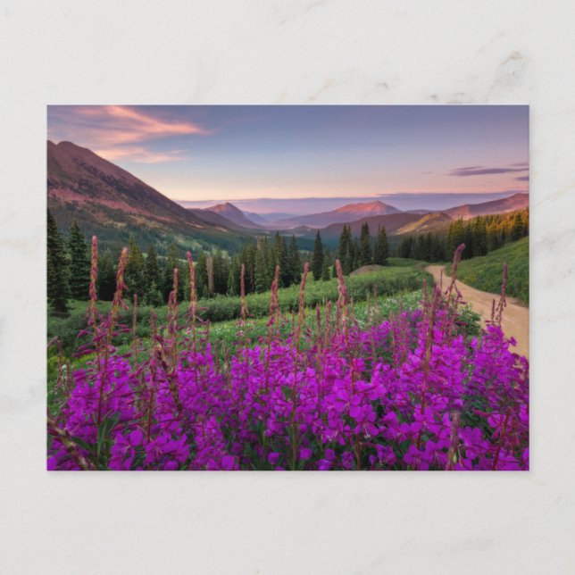 Postal Montañas | Montañas Rocosas, Colorado (Anverso)