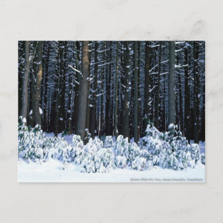 Postal Montañas Pocono. Pennsylvania
