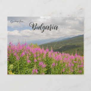 Postal Montañas Rila y flores rosadas en Bulgaria
