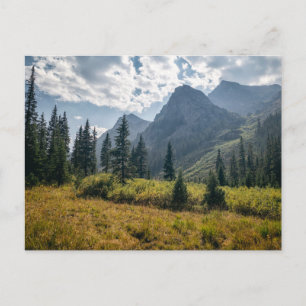 Postal Montañas   Silvicultura de la Santísima Cruz, Colo