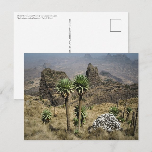 Postal Montañas Simien Etiopía (Anverso / Reverso)