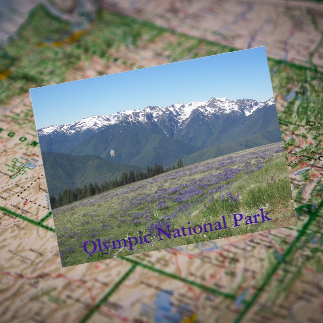 Postal Montañas y praderas del Parque Nacional Olímpico (In Situ Map)