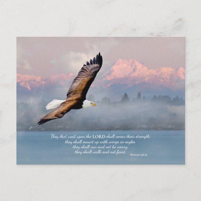 Postal Montar Con Alas Como El Bella Artes Blank De Águil (Anverso)