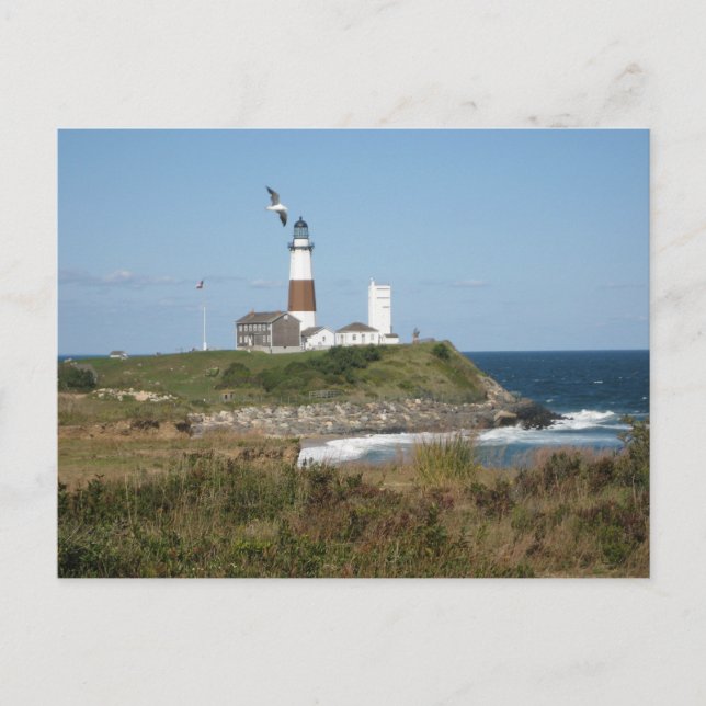 Postal MONTAUK Lighthouse Seagull Love (Anverso)