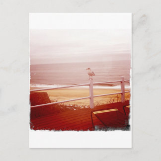 Postal Montauk Seagull Love 3.0