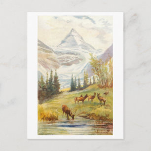 Postal Monte Assiniboine y glaciar vintage, Canadá
