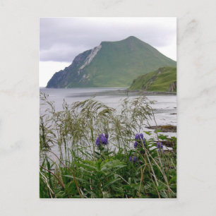 Postal Monte Coxcomb, Isla Unalaska