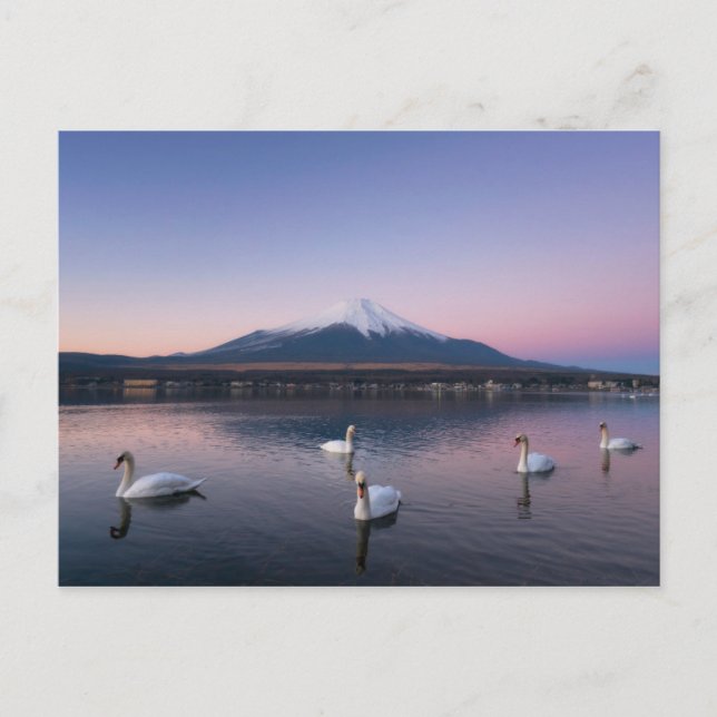Postal Monte Fuji | Lago Yamanaka con cisnes (Anverso)