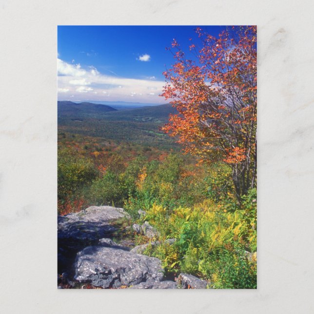 Postal Monte Greylock Round Rock Vista (Anverso)
