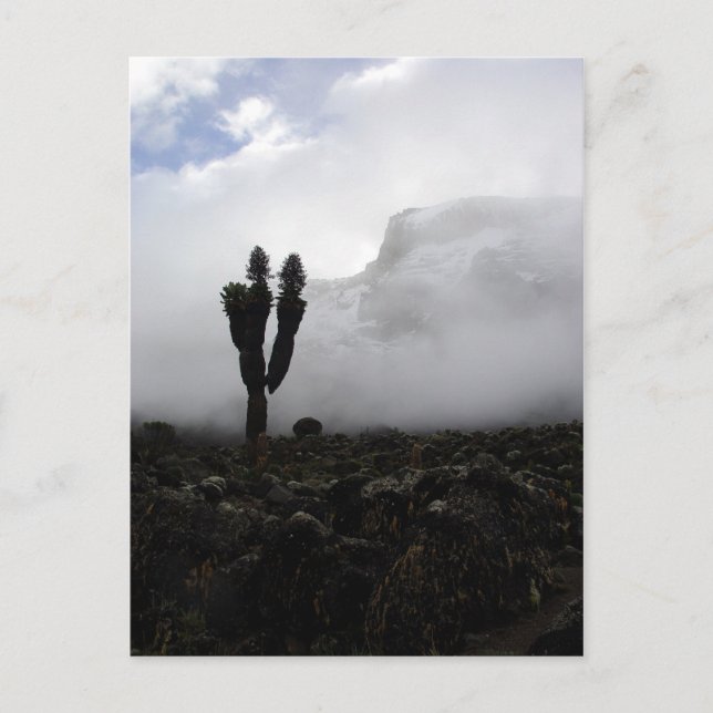 Postal Monte Kilimanjaro (retrato) (Anverso)